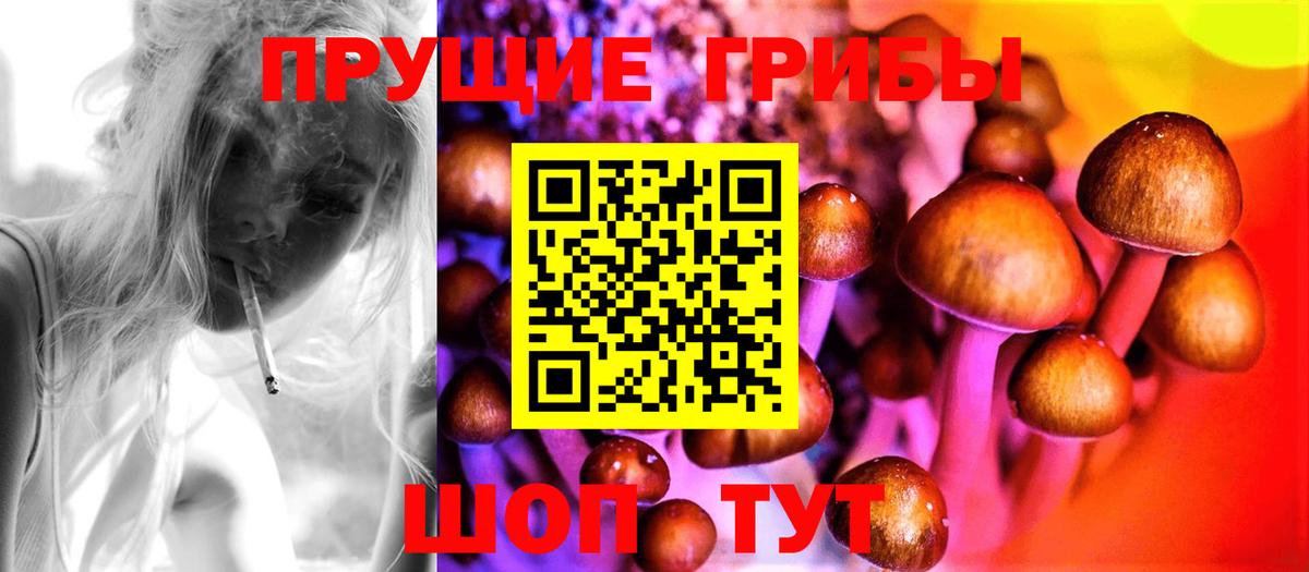 Краснокаменск  Псилоцибиновые грибы мухоморы  Вход с VPN 